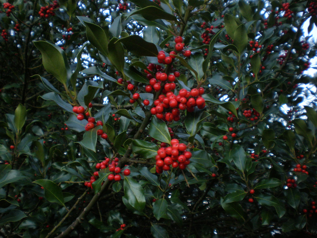 Green energy and solar technology innovation for homepage